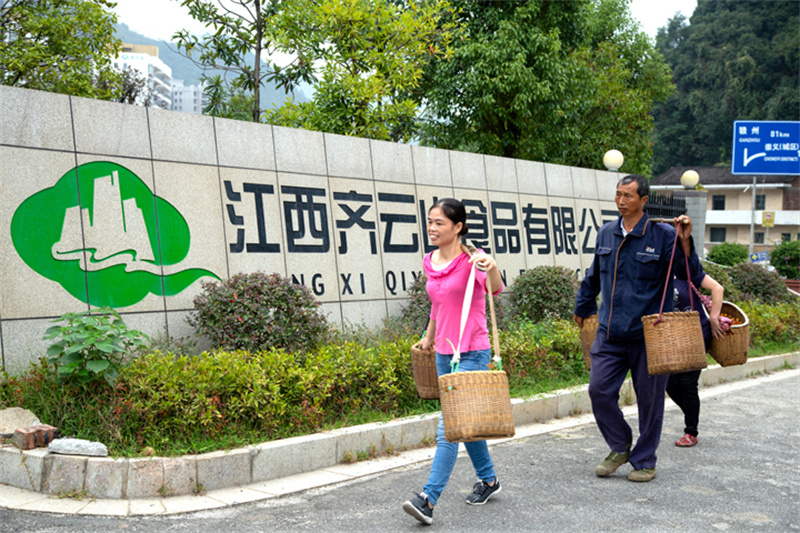 这家企业靠什么,让产品连续24年通过“绿色食品”认证 (4).jpg 这家企业靠什么,让产品连续24年通过“绿色食品”认证 (4).jpg