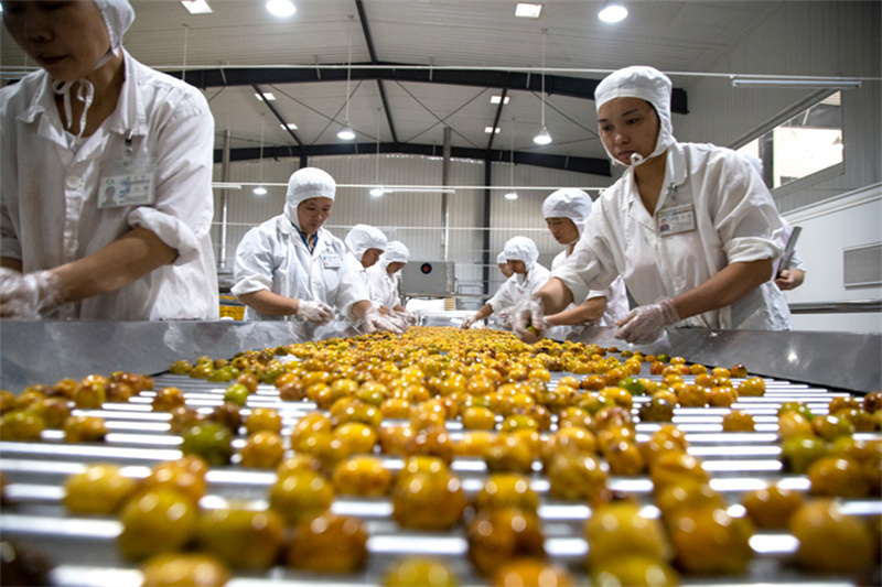 这家企业靠什么,让产品连续24年通过“绿色食品”认证 (7).jpg 这家企业靠什么,让产品连续24年通过“绿色食品”认证 (7).jpg