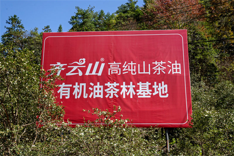 十年磨一剑,齐云山茶油匠心缔造“中国好粮油�?(4).jpg 十年磨一剑,齐云山茶油匠心缔造“中国好粮油�?(4).jpg