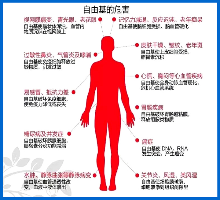 “齐云山”开启南酸枣糕原花青素大健康时代-03.jpg “齐云山”开启南酸枣糕原花青素大健康时代-03.jpg