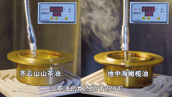 国家级烹饪大师携手齐云山高油酸山茶油诠释餐桌上的健康与美�?06.gif 国家级烹饪大师携手齐云山高油酸山茶油诠释餐桌上的健康与美�?06.gif