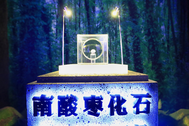 单品年售10亿粒,这颗南酸枣糕到底多“硬核”——文化篇-11.jpg 单品年售10亿粒,这颗南酸枣糕到底多“硬核”——文化篇-11.jpg